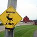 A sign marking a reindeer crossing is seen outside of a barn at Domino's Petting Farm on Monday, July 1, 2013. Melanie Maxwell | AnnArbor.com